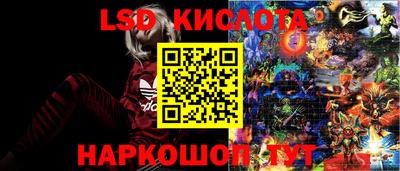 твердый Новозыбков