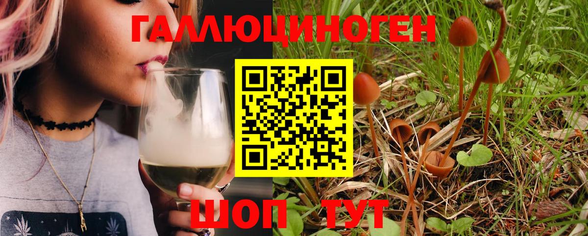 Псилоцибиновые грибы Magic Shrooms Советский