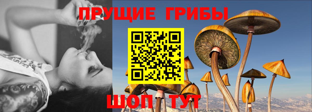 Галлюциногенные грибы Magic Shrooms  Псилоцибиновые грибы Magic Shrooms  Советский  Вход с VPN 